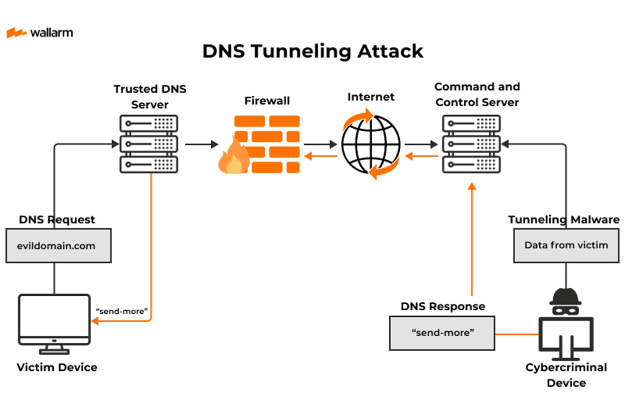 DNS Tunneling Attack: Smuggling data through the web's address book.
